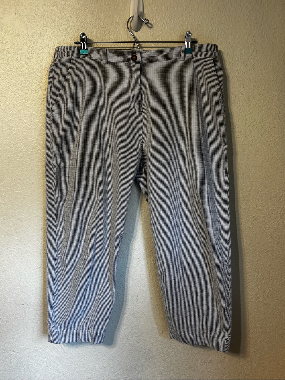 Poetry Stripe Ankle Pants Size 14